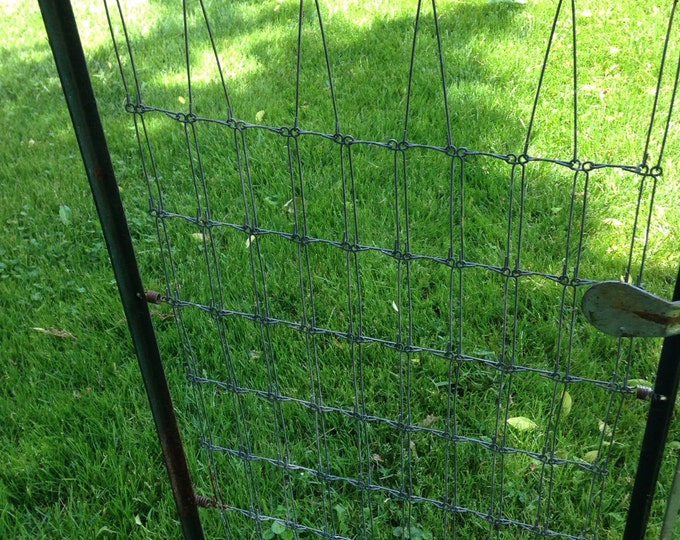 Vintage Crib Springs Vintage Photo Display Pieces Etsy