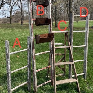 May include: Four wooden ladders labeled A, B, C, and D. Ladder A is short and weathered. Ladder B is tall, painted red and white, and features three attached metal bins. Ladder C is a step ladder. Ladder D is a tall, weathered wooden ladder.