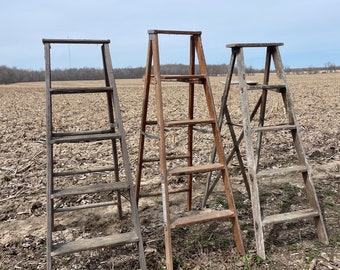 Vintage Step Ladder 5 step