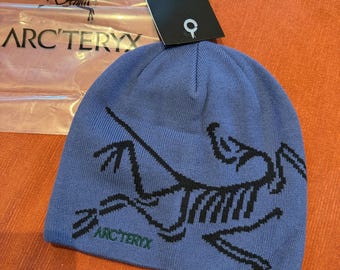ヴィンテージ アークテリクス ニットビーニーハット（恐竜