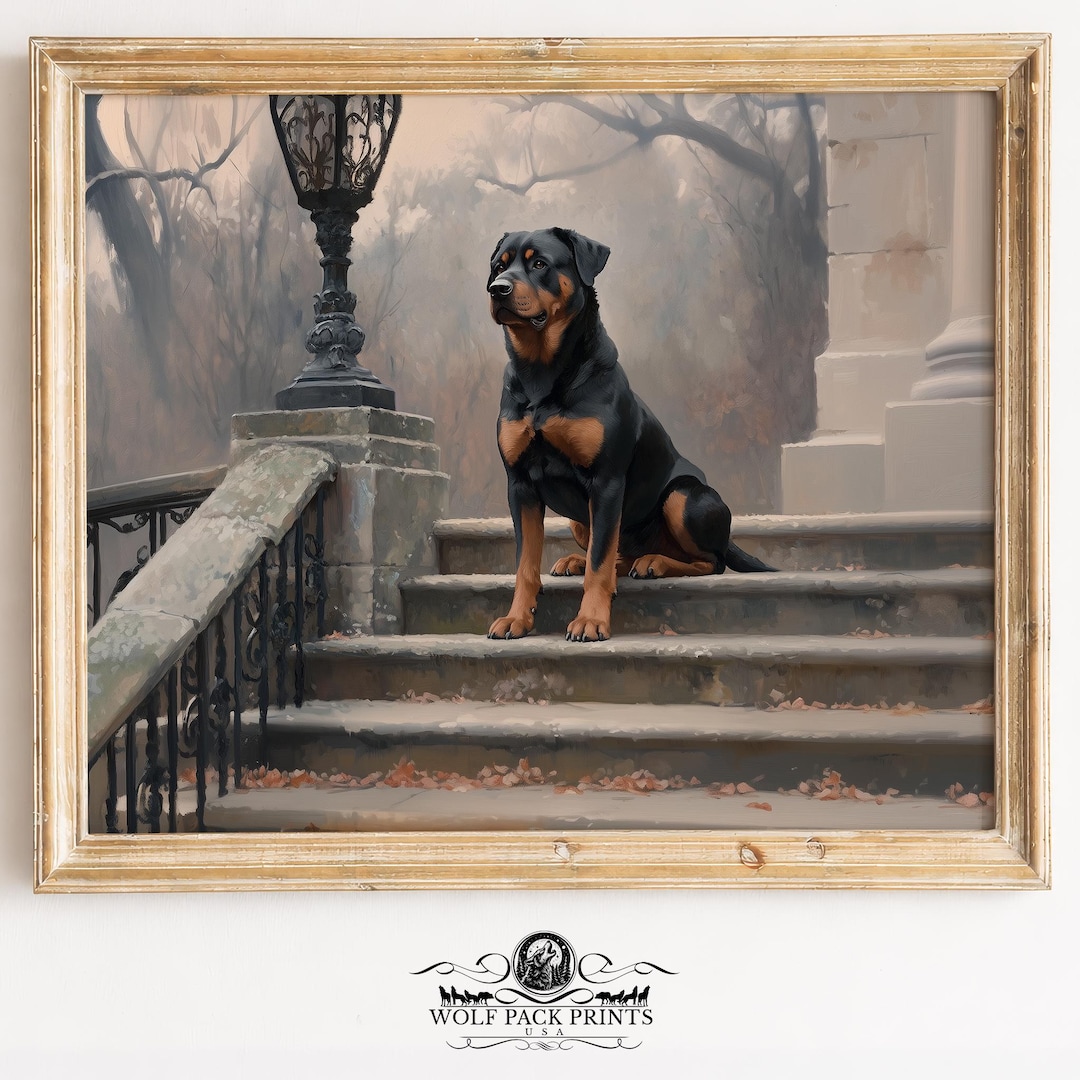 Vintage Rottweiler Rottweiler on Stone Steps - Classic Moody Portrait, Dramatic Dog ...