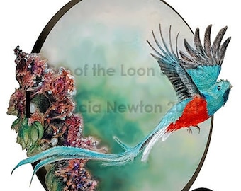 Resplendent Quetzal in flight pastel pencil print