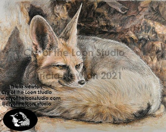 Fox original colored pencil art print