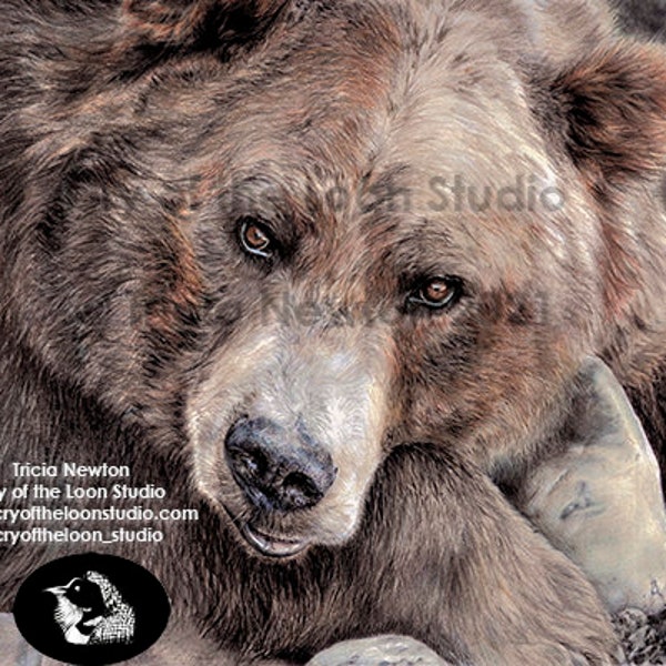 Colored Pencil Art Etsy