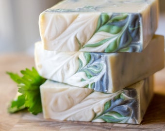 Rosemary Mint Beer and Aloe Shampoo Bars - Vegan Solid Shampoo - Natural Shampoo