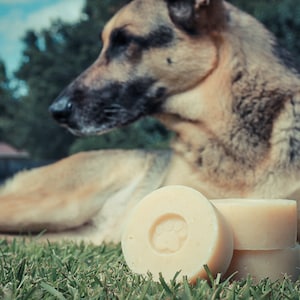 Healthy Pup - Dog Shampoo - All Natural - Shampoo with 6 Essential Oils to Repel Insects!
