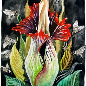 Titan Arum: Corpse Flower, Watercolor Giclee Art Print, Botanical Illustration, Chicago Botanic Garden, Spike, Wall Decor