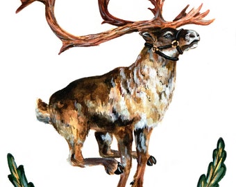 Reindeer: Rangifer tarandus, Watercolor Giclee Print, Holiday Decor, Christmas Painting, Wall Art