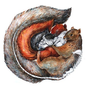 Familia Sciuridae: Squirrel Family, Watercolor Giclee Print, Natural History Painting, Anatomical Illustration, Wall Decor
