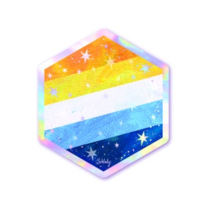 Starry Aroace Pride Flag - Holographic Hexagon Sticker