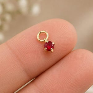 Puede incluir: Un pequeño dije dorado con una piedra preciosa roja redonda y facetada, sujeta por un engaste de cuatro garras. El dije incluye una anilla circular en la parte superior para su sujeción, con un color carmesí vibrante y acabado dorado.