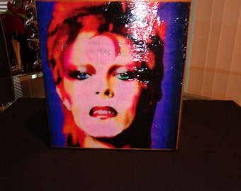 Bowie Inspired Cigar Box Purse