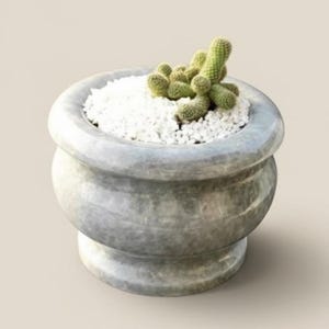 May include: A gray, stone-like planter with a rounded shape, filled with white pebbles and a small green cactus. The planter has a pedestal base and a wide rim. A decorative item for home or office.