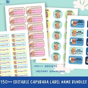 150+ Kawaii Capybara Labels Name Templates Editable | Digital Sticker Sheet Cute Capybara Icons | Classroom, Home Storage & Business Labels