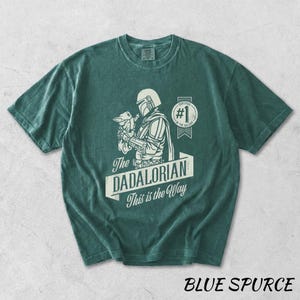 Pu&ograve; includere: Una maglietta verde-blu con una grafica di un personaggio che tiene una piccola creatura, con la scritta "The DADALORIAN This is the Way". La maglietta ha anche un distintivo "#1 in the Galaxy". Le parole "BLUE SPURCE" sono in basso.