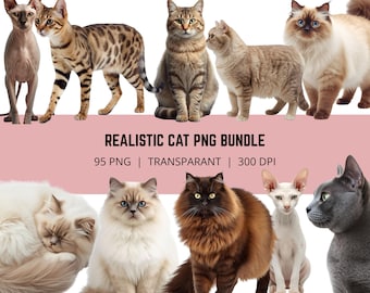 Realistische Katze PNG Bundle, Katzenrasse Clipart, Realistische Katzenporträts, Haustierkatze PNG, Katzenliebhaber Bundle, 95 PNG