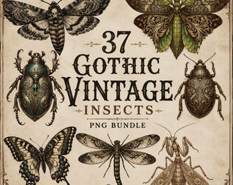 37 Gothic Vintage Insekten PNG Bundle, viktorianische Bug Clipart, antike Entomologie, verzierte Käfer, Schmetterlinge, Motten, Libelle