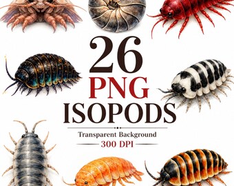 Paquete de imágenes prediseñadas de isópodos, cochinilla PNG adorable, imágenes prediseñadas de isópodos gigantes, isópodos en acuarela, isópodos de fantasía, 26 imágenes PNG transparentes