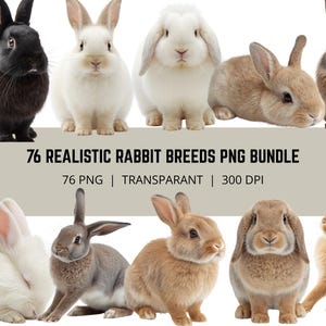 May include: A digital collection of 76 realistic rabbit breeds in PNG format. The image displays various rabbits in black, white, and brown fur colors, featuring upright and floppy ears. Text reads: 76 REALISTIC RABBIT BREEDS PNG BUNDLE 76 PNG | TRANSPARANT | 300 DPI.