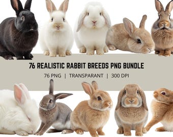 Realistisches Kaninchen PNG Bundle, Häschen Clipart, realistisches Häschen Porträts, Haustier Kaninchen PNG, Kaninchenrasse Bündel, 76 PNG