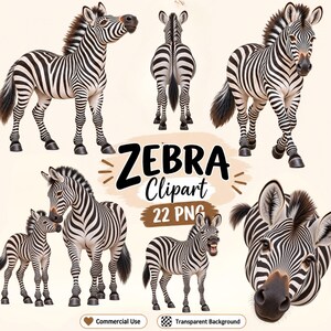 Può includere: Una collezione di illustrazioni di zebre che mostrano varie pose, tra cui in piedi, che camminano e una vista ravvicinata della testa. Il testo ZEBRA Clipart 22 PNG è centrato al centro. Ogni zebra mostra il caratteristico motivo a strisce bianche e nere.