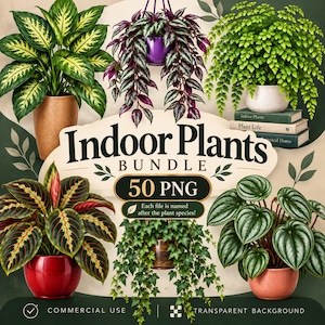 May include: A digital collection of indoor plants featuring various potted species including a dieffenbachia, a hanging purple-leafed plant, a fern, a calathea, ivy, and a peperomia. The text reads Indoor Plants BUNDLE 50 PNG.