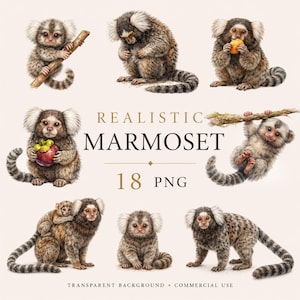Peut inclure: Une collection de 18 illustrations numériques de ouistitis dans diverses poses, assis, suspendus à des branches, mangeant des fruits et portant des petits. Le texte indique REALISTIC MARMOSET 18 PNG TRANSPARENT BACKGROUND COMMERCIAL USE.