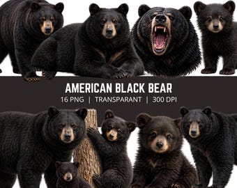 Amerikanischer Schwarzbär PNG Bundle, Realistische Schwarzbär Clipart, Wildtier Bär PNG, Bärenfamilie Bundle, Nordamerikanische Wildtiere, 16 PNG