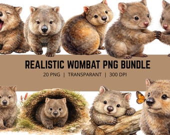 Realistisches Wombat PNG Bündel, Wombat Clipart, Australisches Tier PNG, Niedliche Wombat Illustration, Wildtier Clipart, 20 PNG