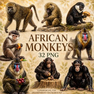 Könnte beinhalten: Eine digitale Sammlung afrikanischer Affen mit verschiedenen Arten wie Pavianen, Schimpansen und Mandrills. Das Bild zeigt den Text AFRICAN MONKEYS 32 PNG COMMERCIAL USE TRANSPARENT BACKGROUND und präsentiert detaillierte Illustrationen von Primaten.