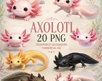 20 süßes Axolotl PNG Bundle, Kawaii Axolotl Clipart, Baby Axolotl PNG, rosa Axolotl, transparentes PNG, süße Amphibien Clipart