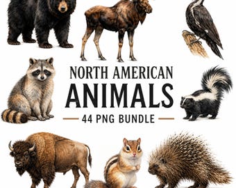 44 nordamerikanische Tiere PNG-Bundle, Wildtier Clipart, Bär Elch Bison PNG, Waldtiere, realistisches Tier PNG
