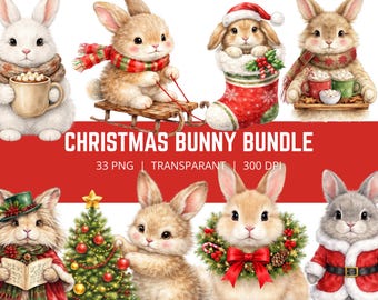 Weihnachten Kaninchen PNG Bundle, niedlichen Weihnachtshasen Clipart, Winter Hase PNG, Urlaub Kaninchen Clipart, Weihnachtstiere Bundle, 33 PNG