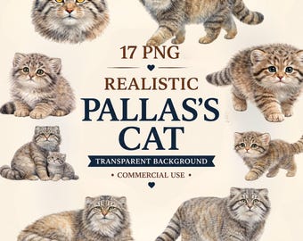17 Realistische Pallas Katze PNG Bündel, Manul Clipart, Aquarell Pallas Katze PNG, Wildtier Clipart