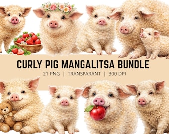 Lockiges Mangalitsa Schwein PNG Bundle, Süßes Mangalitsa Schwein Clipart, Flauschiges Schwein PNG, Bauernhof Tier Clipart, Ferkel Bündel, 21 PNG