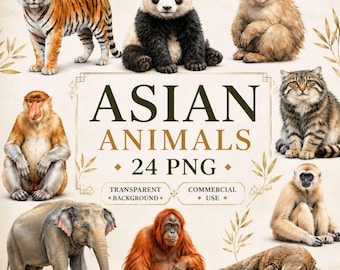 Clipart animaux asiatiques, lot de 24 PNG, clipart faune aquarelle, PNG Transparent, animaux de la jungle, usage commercial, téléchargement numérique