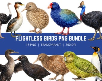 Fluglose Vögel PNG Bundle, echte Vogelarten Clipart, Lernvogel PNG, Kiwi Pinguin Strauß Clipart, Wildtierstudienpaket, 18 PNG
