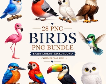 28 süße Vögel PNG Bundle, Kinder Vogel Clipart, Baby Vogel PNG, bunte Vogel Clipart, Vogel Kindergarten PNG, Kinder Tier Clipart