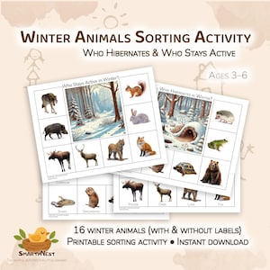 Winter Animals Sorting Activity | Who Hibernates & Who Stays Active | Preschool Science Worksheets | Printable PDF | Ages 3–6