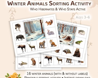 Actividad de clasificación de animales de invierno / Quién hiberna y quién se mantiene activo / Hojas de trabajo de ciencias para preescolar / PDF imprimible / De 3 a 6 años