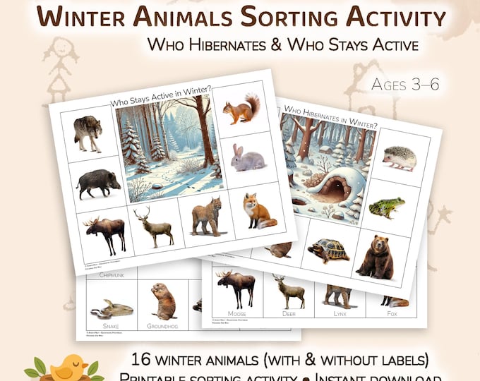 Animals in Winter Sorting Worksheet: Hibernate, Migrate, Adapt (PDF ...