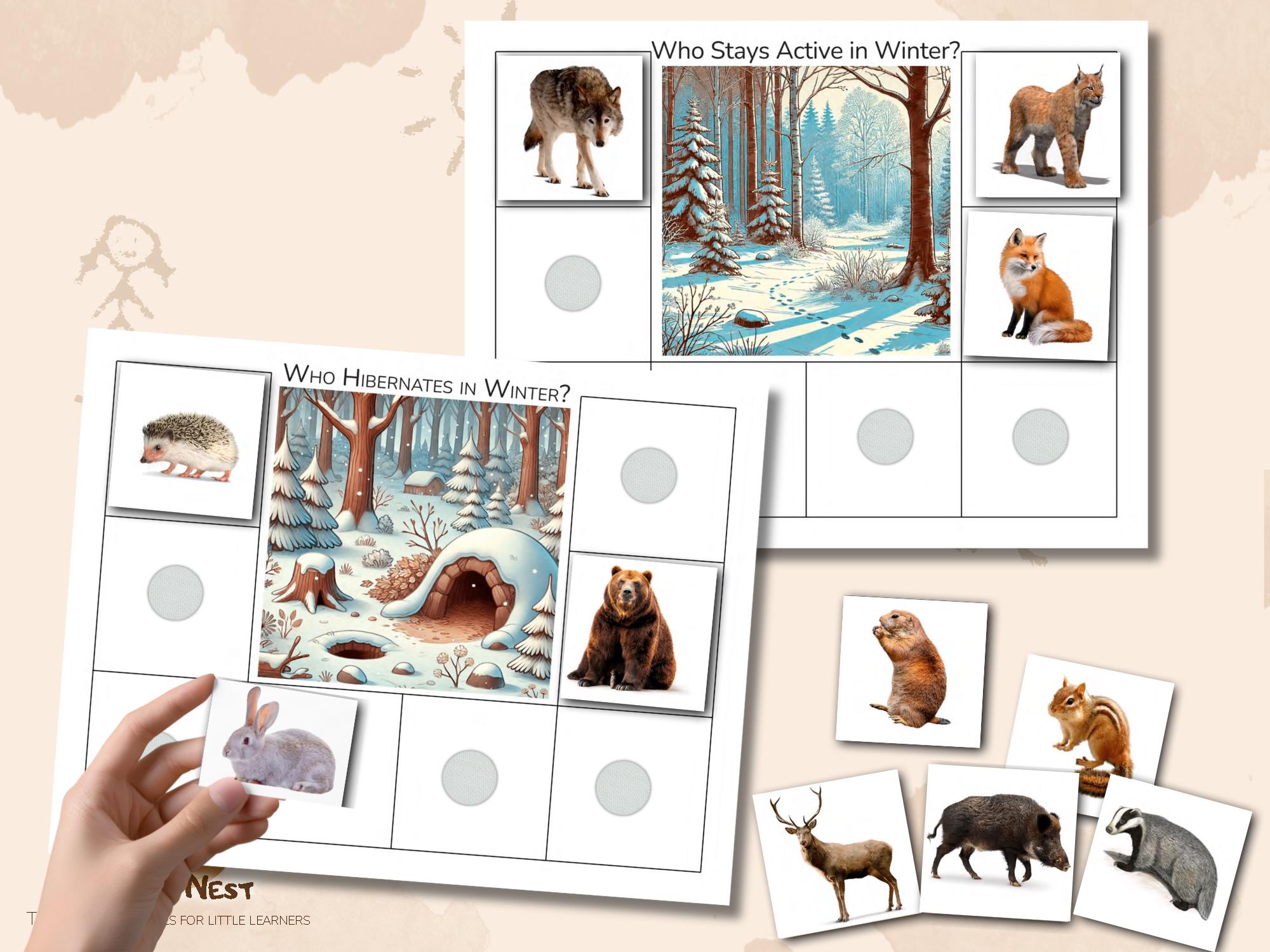 Winter Animals Sorting Activity | Who Hibernates & Who Stays Active ...