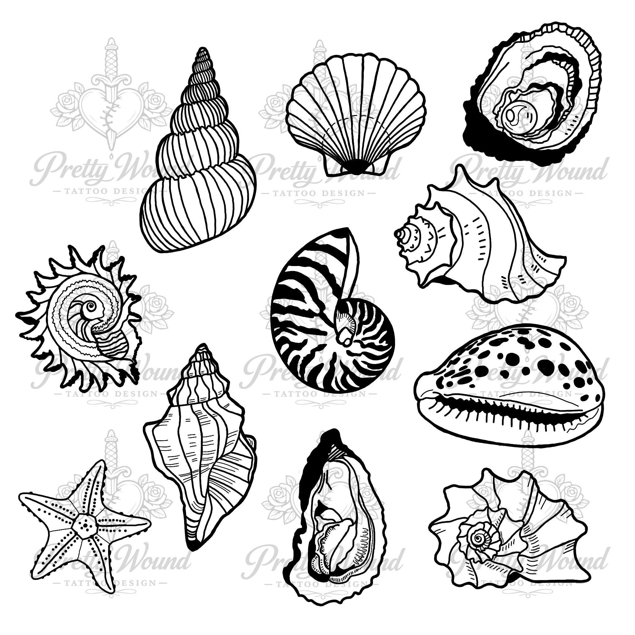 Seashell Tattoo Flash Sheet | Digital Download - 12 Minimalist Linework ...