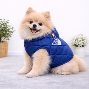 Abrigo de invierno para perros – Chaqueta de plumón cálida y ligera – Chaqueta acolchada para perros pequeños – Chihuahua, Yorkshire, Bichón