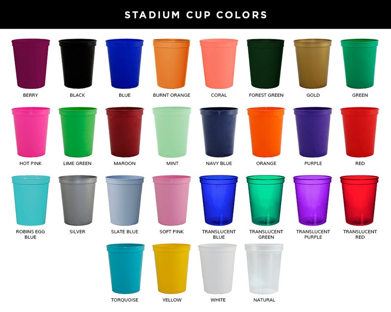 South Carolina Cups Raising a Little Hell Before the Wedding Bells Party Favors Bachelorette Gifts Bachelorette Cups 1653 Girls Trip
