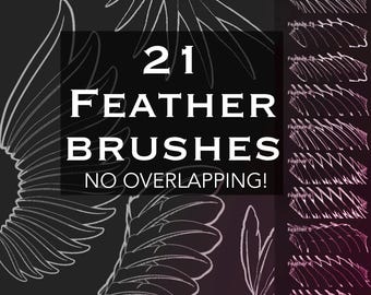 Könnte beinhalten: Eine digitale Sammlung von 21 Federpinseln mit weißen Strichzeichnungen verschiedener Flügelfedern auf dunklem Hintergrund. Der Text 21 FEATHER BRUSHES NO OVERLAPPING! wird in der Mitte mit einer Liste nummerierter Federn angezeigt.