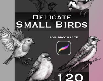Könnte beinhalten: Eine digitale Grafik mit fünf detaillierten Graustufen-Illustrationen kleiner Vögel in verschiedenen Posen. Der Text lautet Delicate Small Birds for Procreate, ergänzt durch ein Procreate-App-Symbol und die Angabe 120 Stamps in Weiß.