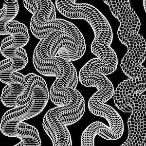May include: A black background featuring multiple vertical, wavy, snake-like forms rendered in white line art. Each form consists of a repeating, overlapping scale-like pattern that creates a textured, three-dimensional appearance across the image.