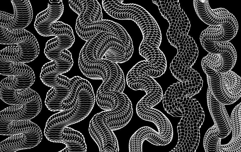 May include: A black background featuring multiple vertical, wavy, snake-like forms rendered in white line art. Each form consists of a repeating, overlapping scale-like pattern that creates a textured, three-dimensional appearance across the image.