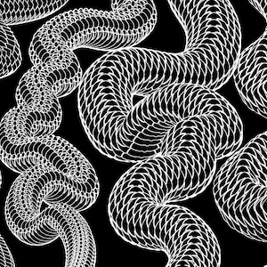 May include: A black and white graphic pattern featuring multiple winding, snake-like forms. Each form is composed of repeating, overlapping white scale-like shapes that create a textured, serpentine appearance against a solid black background.